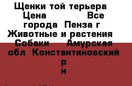 Щенки той терьера › Цена ­ 10 000 - Все города, Пенза г. Животные и растения » Собаки   . Амурская обл.,Константиновский р-н